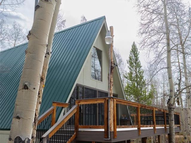 206 Empire Cir, Leadville, CO 80461 | MLS #4690