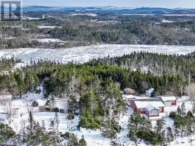 206 Vineland Road, Salmonier, NL, A0A 2R0 vacant land for sa.