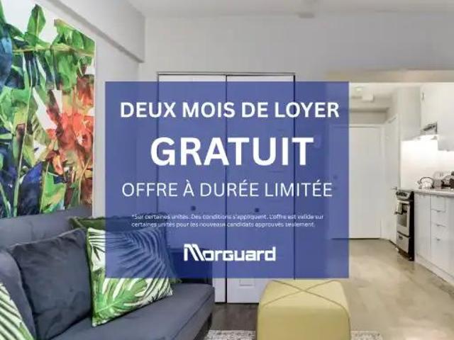 2070 de Maisonneuve | 2070 Boulevard de Maisonneuve Ouest, Montreal · studio