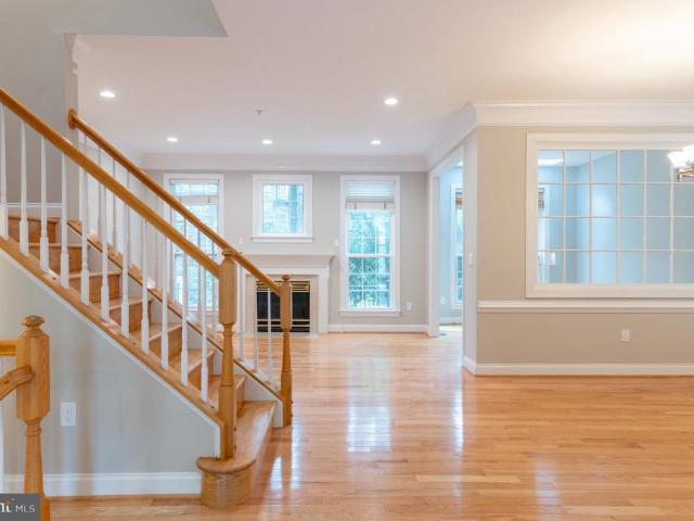 207 Halpine Walk Court