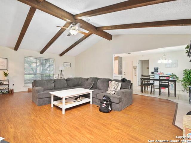 207 Ivy