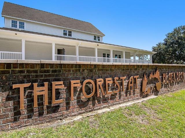 208 Blueberry Fields Ct