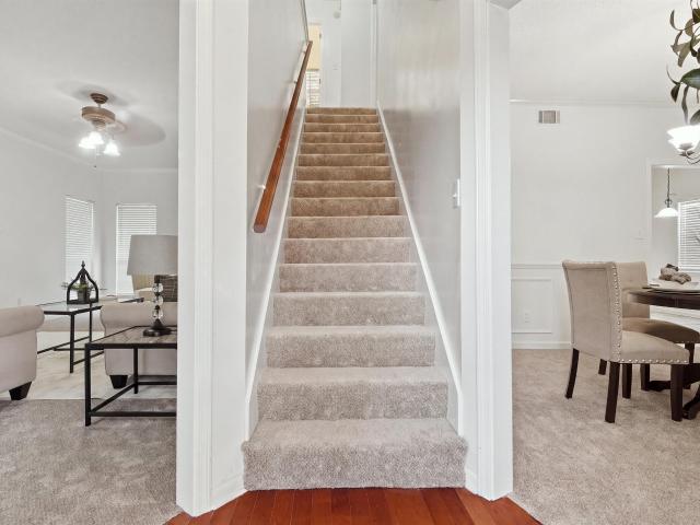 209 Chadwick Lane