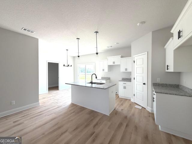 209 Palmetto Loop