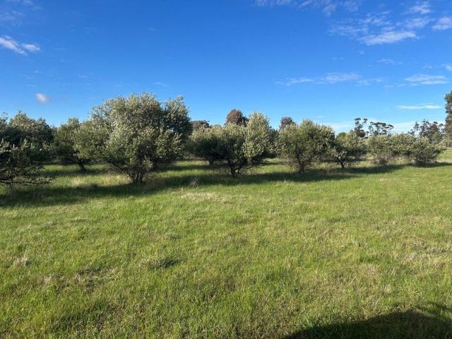 20.44 Acres of Rural Escape with Endless Lifestyle Appeal