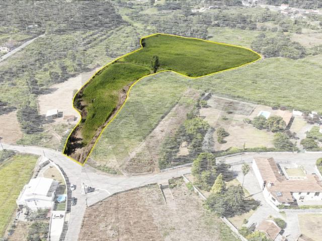 20.590 m² | Excelente Exposição Solar | Regato e Rego de Rega | Guisande