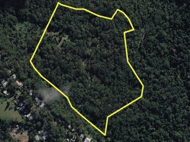 20.8ha! Income now + DA approval