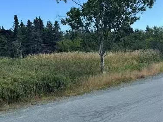 20 34 Crowes Lane, Torbay, NL, A1K 1H5 vacant land for sale.