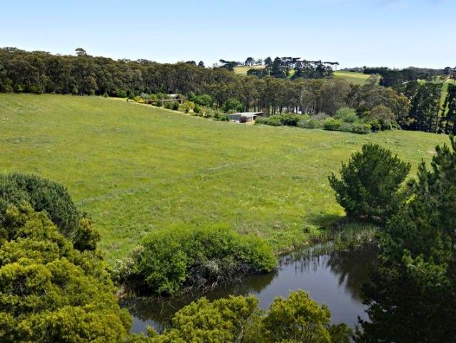 20 Acres, Two Dwellings, Verdant Panorama