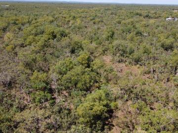 20 Acres Vacant Land with Wet Season Creek