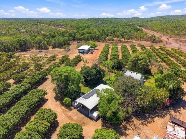 20 Acres With Producing Farmland