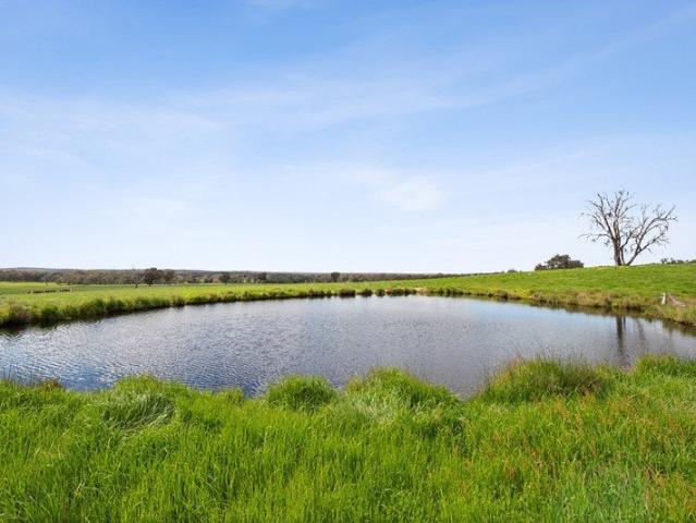 20 acres of beautiful country. Open skies. Rich pasture. A home site with a view