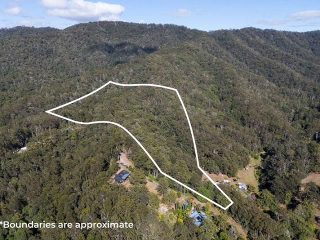 20 acres of blank canvas opportunity in Mount Pleasant