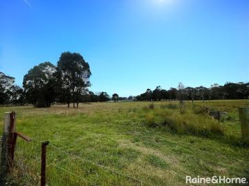 McGraths Hill, Baulkham Hills Shire, Snapper Island