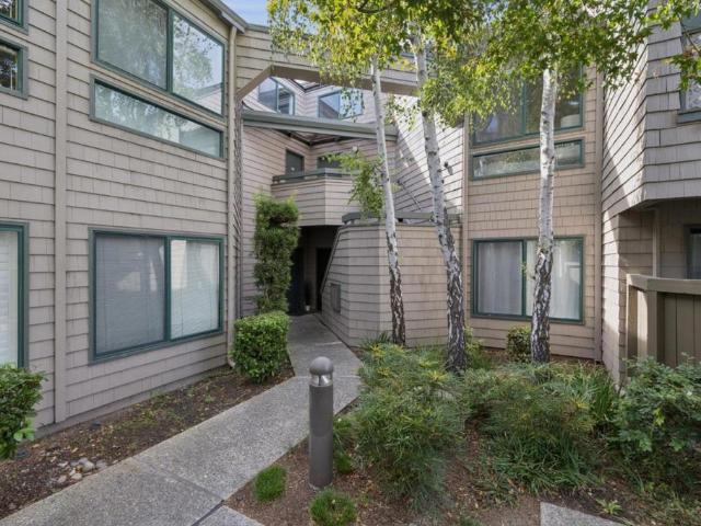20 Cove Lane