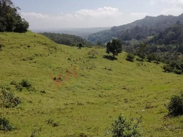 20 Has. EN VENTA, RANCHO SOLO DIOS EN SAN FERNANDO, CHIAPAS, CERCANO A COLONIA GABRIEL ESQUINCA