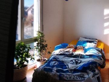 20 m²