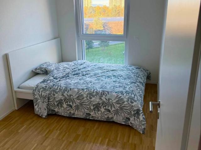 20 m²