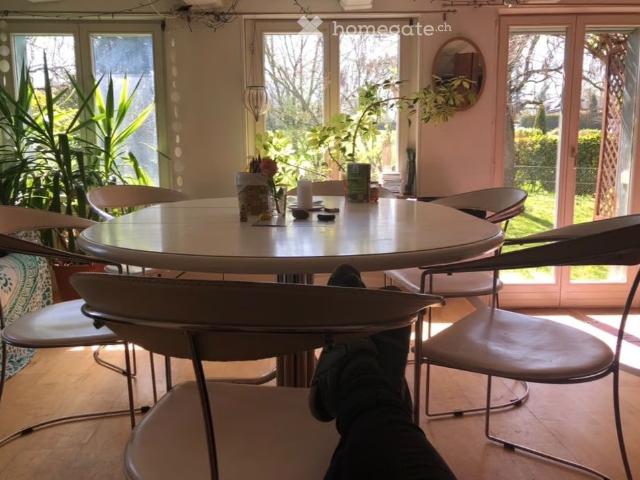 20 m²