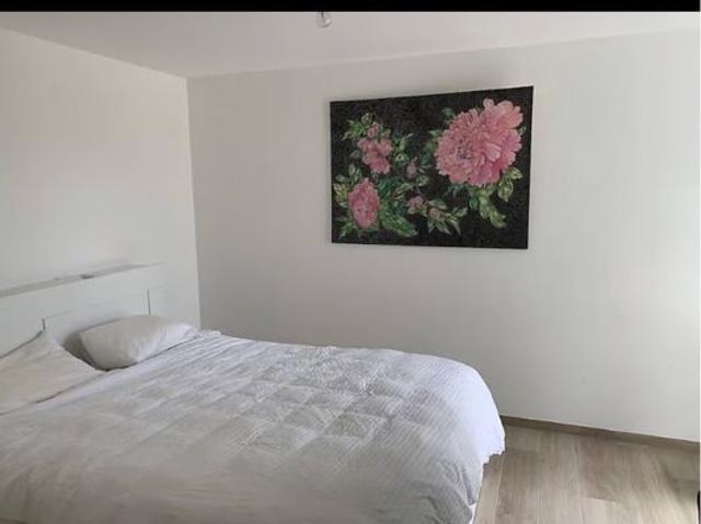 20 m²