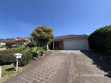 20 Quarterhorse Parade, Wadalba, NSW 2259