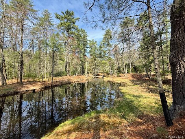20 Reber Rd, Highland Lake, NY 12743 | MLS #980409
