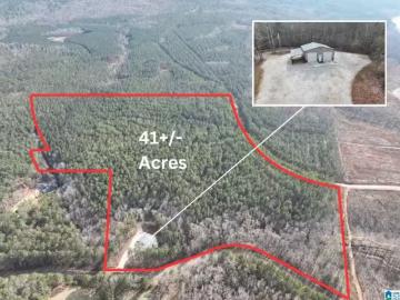 2106 COUNTY ROAD 632 # 41, ROANOKE, AL 36274
