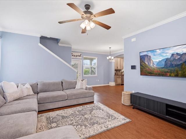 2100 Mangrove Drive