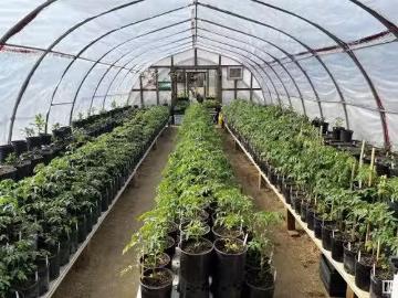 210 55504 Nikoodi Road, Glenevis, AB, T0E 0X0 commercial f.