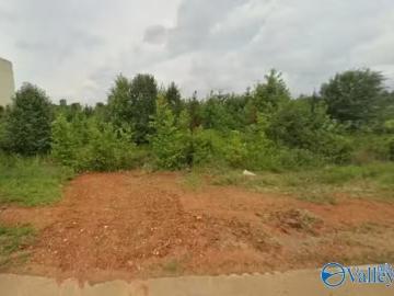 210 FERN BANK DR, HAZEL GREEN, AL 35750