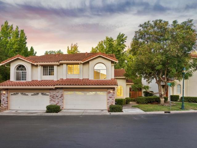 2118 Cuesta Drive