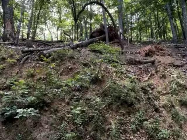 2111 Valley View Dr, Big Canoe, GA 30143 MLS 10775734