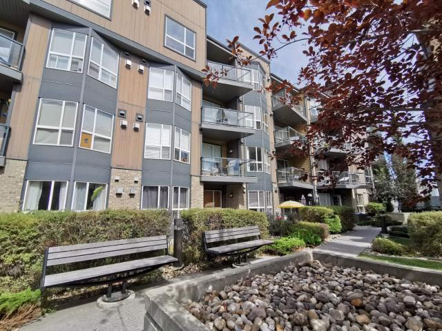 211, 2420 34 Ave SW One Bedroom Condo for Rent