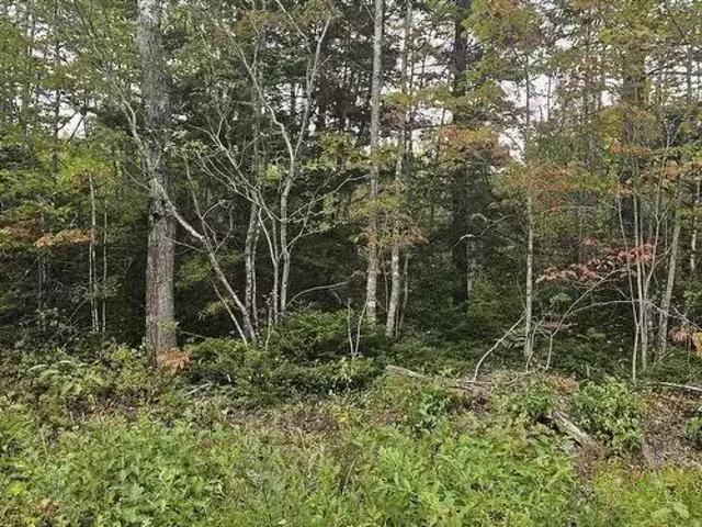 211 Bennie Muckle Road Bramber, Bramber, NS, B0N 2R0 vacant.