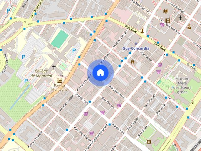 2125 Saint Marc Street | 2125 Saint Marc Street, Montreal