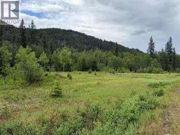 2128 Blackwater Road, Clearwater, BC, V0E 1N0 vacant land fo.