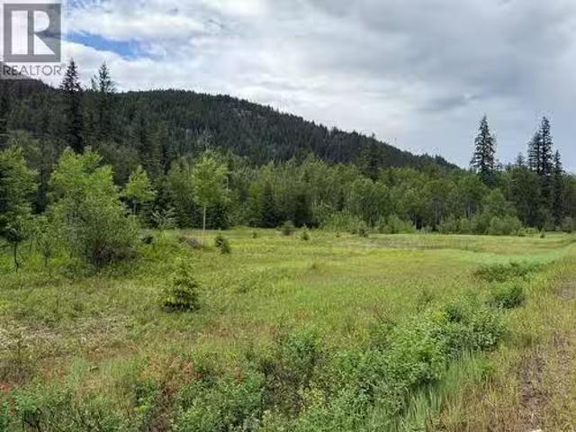 2128 Blackwater Road, Clearwater, BC, V0E 1N0 vacant land fo.