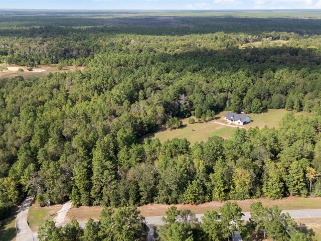 21203 Peach Wood Court