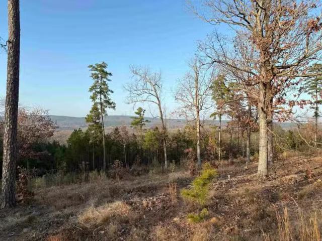 21216 VALLEY VIEW CV, ROLAND, AR 72135