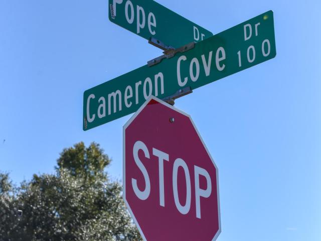 212 Camerons Cove, Carencro, LA 70520 | MLS #RA2600002