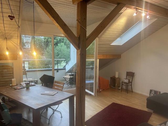 21/2 ROOM APARTMENT IN BERN ALTENBERG, FURNISHED, TEMPORARY