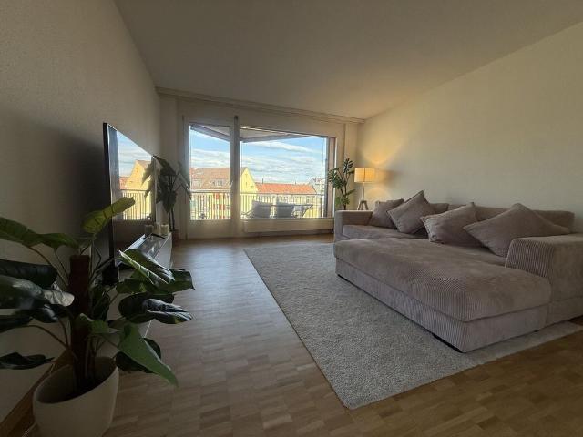 31/2 ROOM APARTMENT IN BERN MONBIJOU, FURNISHED, TEMPORARY