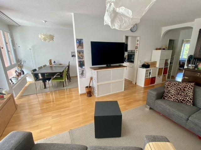21/2 ROOM APARTMENT IN EBMATINGEN ZH, FURNISHED, TEMPORARY