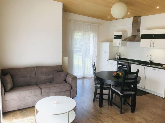 21/2 ROOM APARTMENT IN OBERGÖSGEN SUN, FURNISHED
