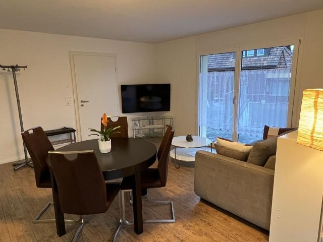 21/2 ROOM APARTMENT IN OBERGÖSGEN SUN, FURNISHED