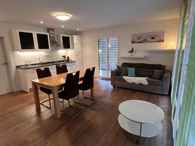 21/2 ROOM APARTMENT IN OBERGÖSGEN SUN, FURNISHED
