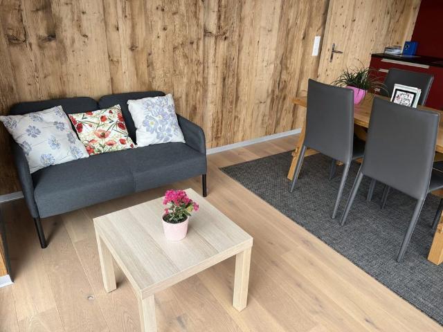 21/2 ROOM APARTMENT IN SIGRISWIL BE, FURNISHED, TEMPORARY