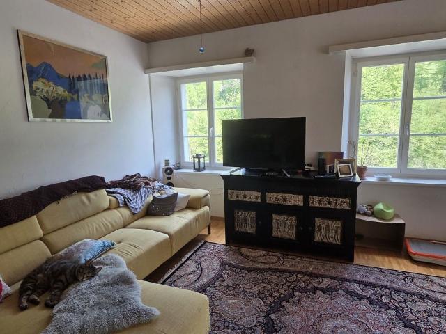 FOR A SINGLE PERSON IN WÄDENSWIL ZH, FURNISHED, TEMPORARY