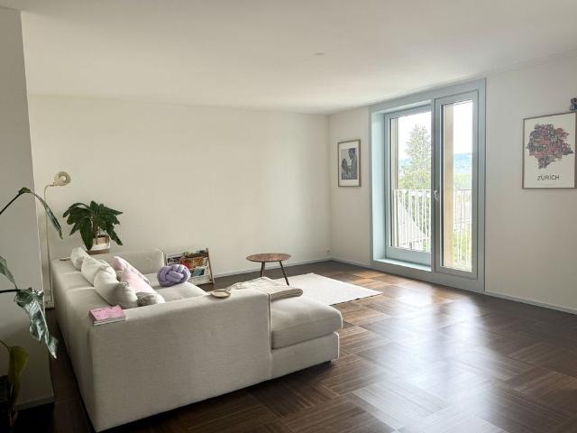 21/2 ROOM APARTMENT IN ZURICH DISTRICT 2 WOLLISHOFEN, FURNISHED, TEMPORARY