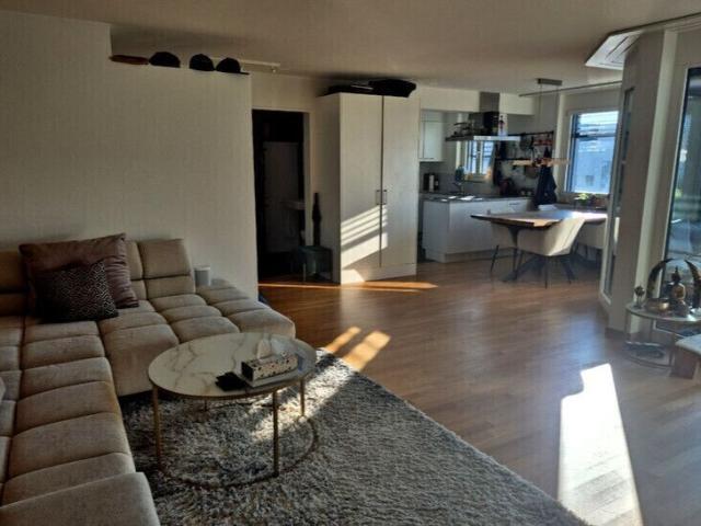21/2 ROOM APARTMENT IN ZURICH DISTRICT 9 ALTSTETTEN, FURNISHED, TEMPORARY